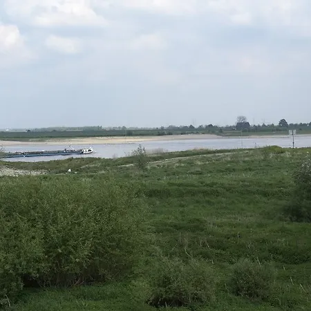Onder De Bomen *