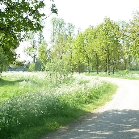 Onder De Bomen Bed & Breakfast Bergharen