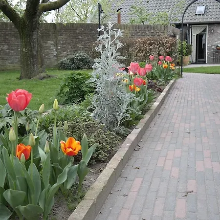 Bed & Breakfast Onder De Bomen Bergharen